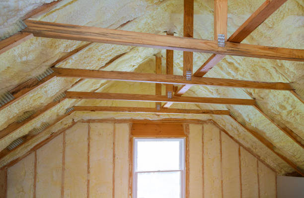 Insulation Repair Services in Mamou, LA